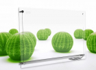 Panou infrarosu din sticla transparenta Ensa P750G Visio  Putere maxima 700W  Pentru spatii de pana la 14mp