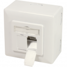 Priza RJ-45 Aplicabila cu 2 Iesiri pentru Cablu FTP Cat6A RJ-45 (M) x 2 Ecranat Plastic cu Metal Pure White