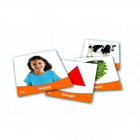 Set imagini vocabularul de baza