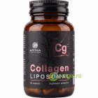 Colagen Lipozomal 60cps