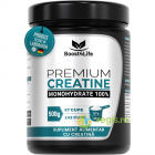 Premium Creatine Monohydrate 100% 500g – Vegis.ro