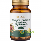 Muschi Irlandez + Brusture + Alga Bruna 750mg 60cps – Vegis.ro