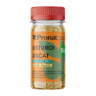 Usturoi uscat granulat fin bio, 60g Pronat – Scufita-rosie.ro