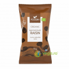 Stafide in Ciocolata Raw Ecologice/Bio 80g – Vegis.ro