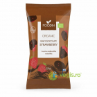 Capsuni in Ciocolata Raw Ecologice/Bio 50g – Vegis.ro