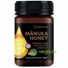 Miere de Manuka MGO 525+ Noua Zeelanda 500g – Vegis.ro
