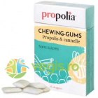 Guma de Mestecat cu Propolis si Scortisoara fara Zahar 25buc-35g – Vegis.ro