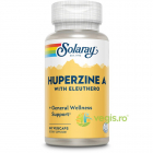 Huperzine A 50mcg 60cps vegetale – Vegis.ro