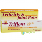 Triflora Arthritis Gel 77g – Vegis.ro