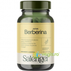 Active Berberina 60cps – Vegis.ro