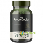 Active Revive Celular 60cps tari – Vegis.ro