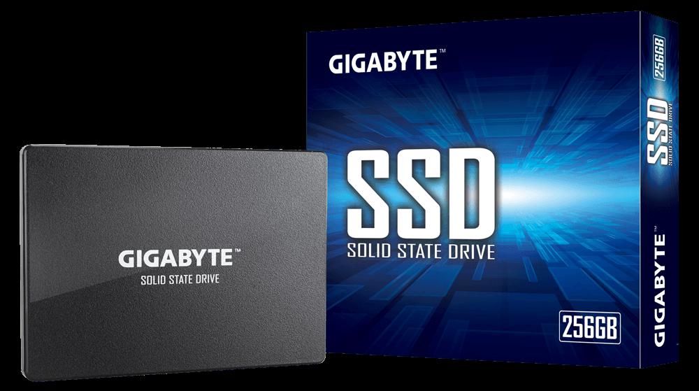 Oferte la GIGABYTE GP-GSTFS31256GTND