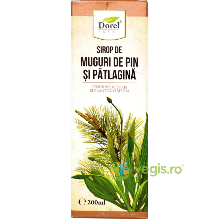 Oferte la Sirop de Muguri Pin si Patlagina 200ml