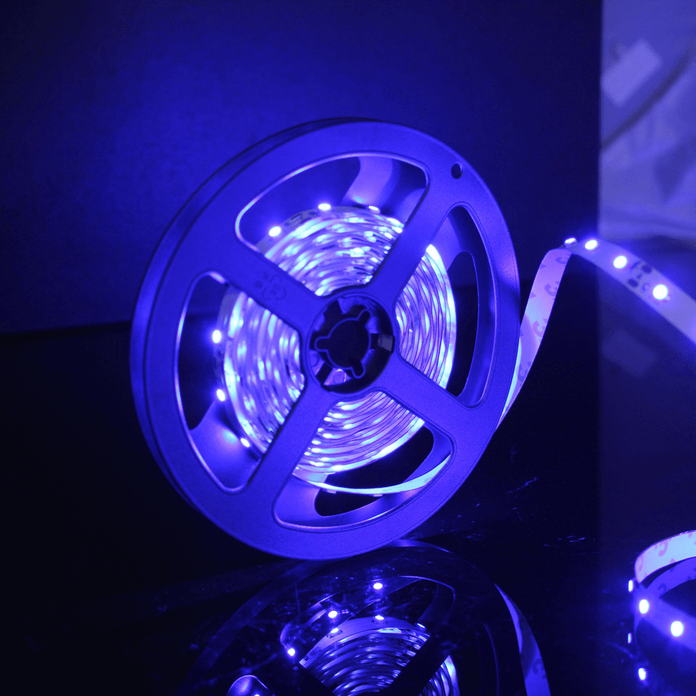 Oferte la Banda LED Flink, albastru, 60 leduri/m, rola 5 m