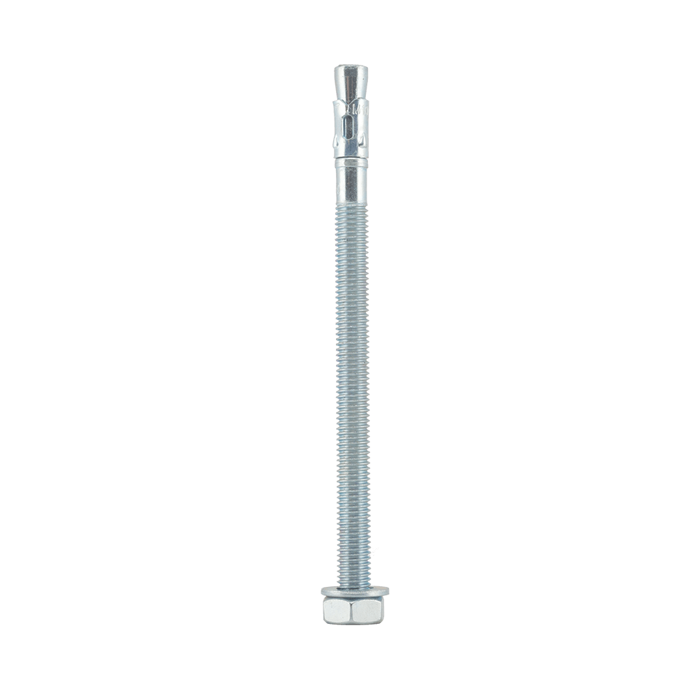 Oferte la Ancora metalica, M10 x 160 mm