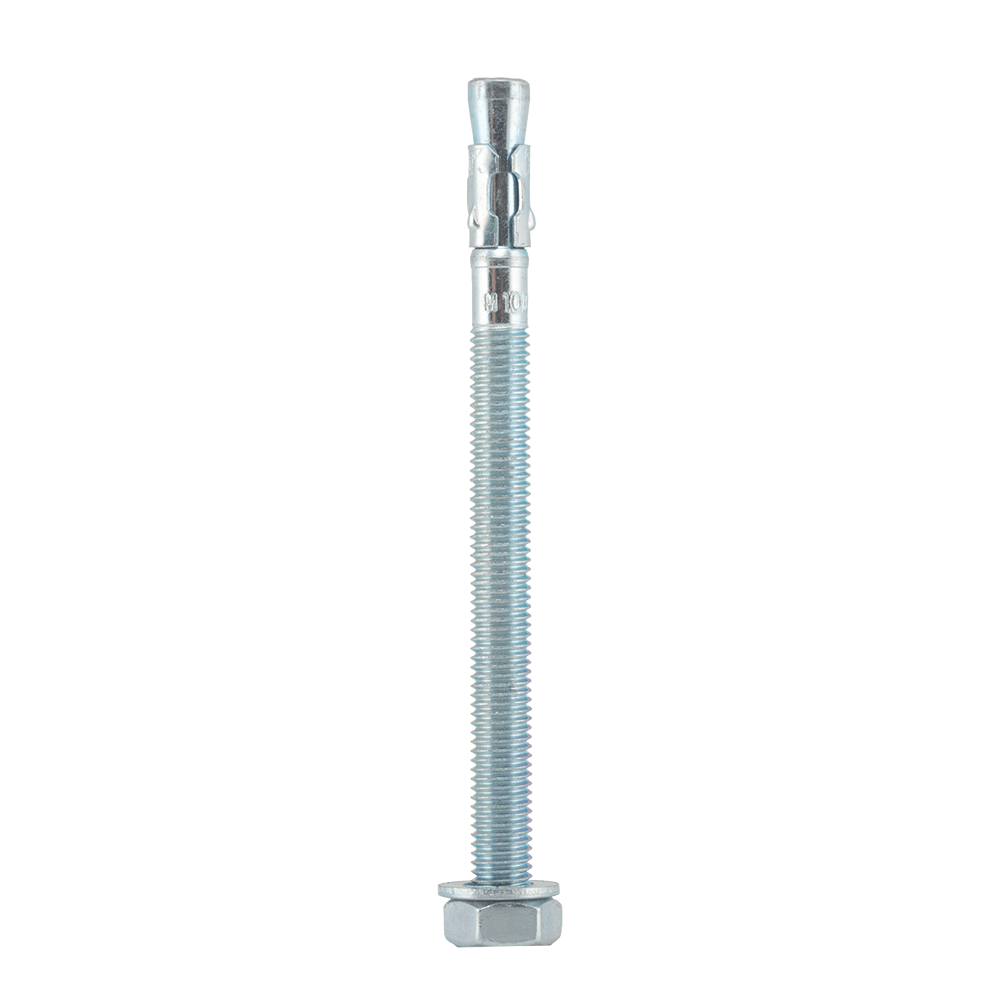Oferte la Ancora metalica, M10 x 140 mm
