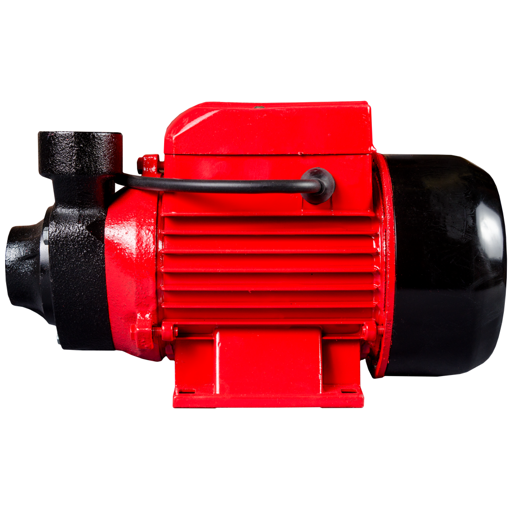 Oferte la Pompa de apa curata Raider WP60, motor electric, 550 W,  40 l/min debit
