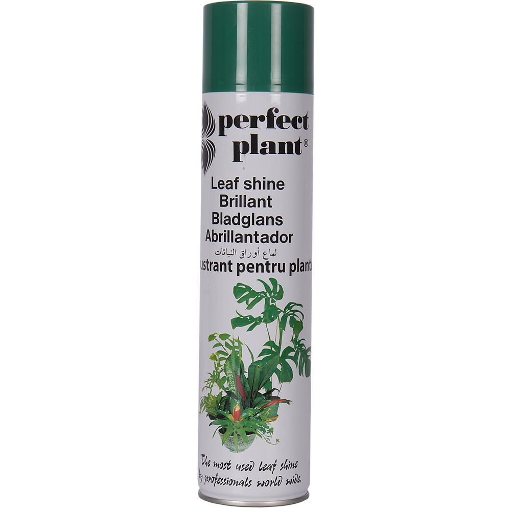 Oferte la Spray lustrant pentru plante, Perfect Plant, 600 ml