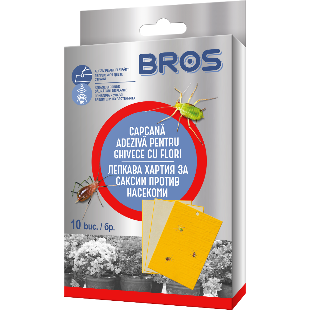 Oferte la Hartie adeziva pentru ghivece cu flori Bros, 10 bucati