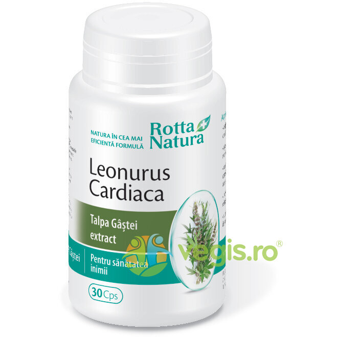 Oferte la Talpa Gastei (Leonorus Cardiaca) 30cps