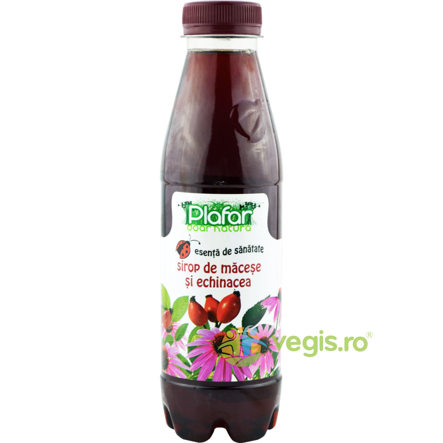 Oferte la Sirop de Macese si Echinaceea 500ml