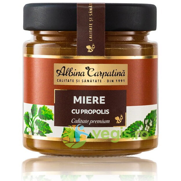 Oferte la Energizant Miere cu Propolis 270g
