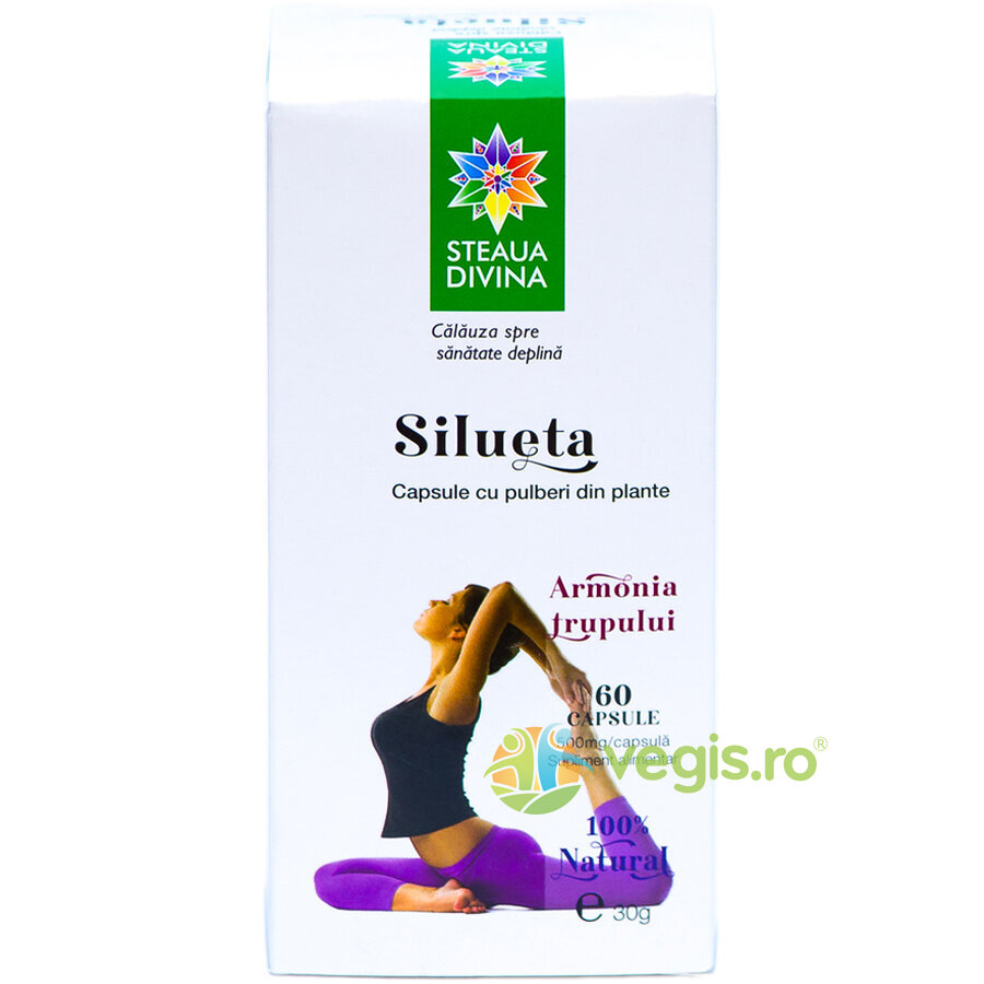 Oferte la Silueta 60cps