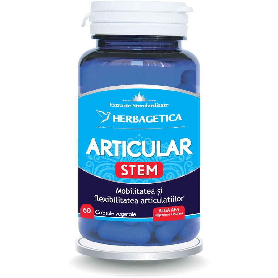 Oferte la Articular Stem 60cps