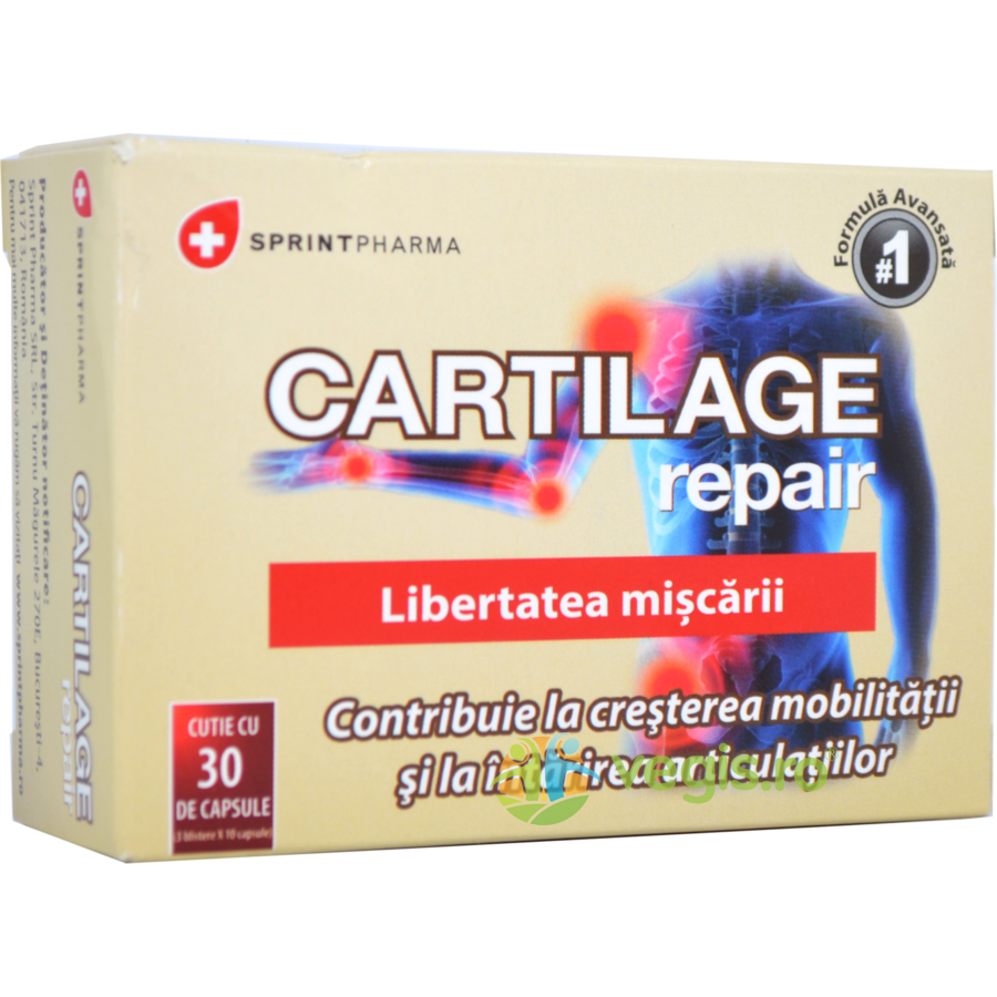 Oferte la Cartilage Repair 30cps