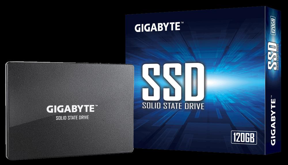 Oferte la GIGABYTE GP-GSTFS31120GNTD