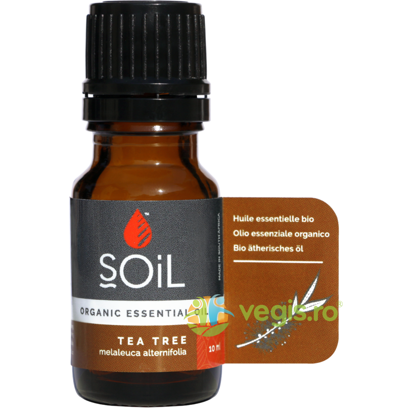 Oferte la Ulei Esential de Tea Tree (Arbore de Ceai) Ecologic/Bio 10ml