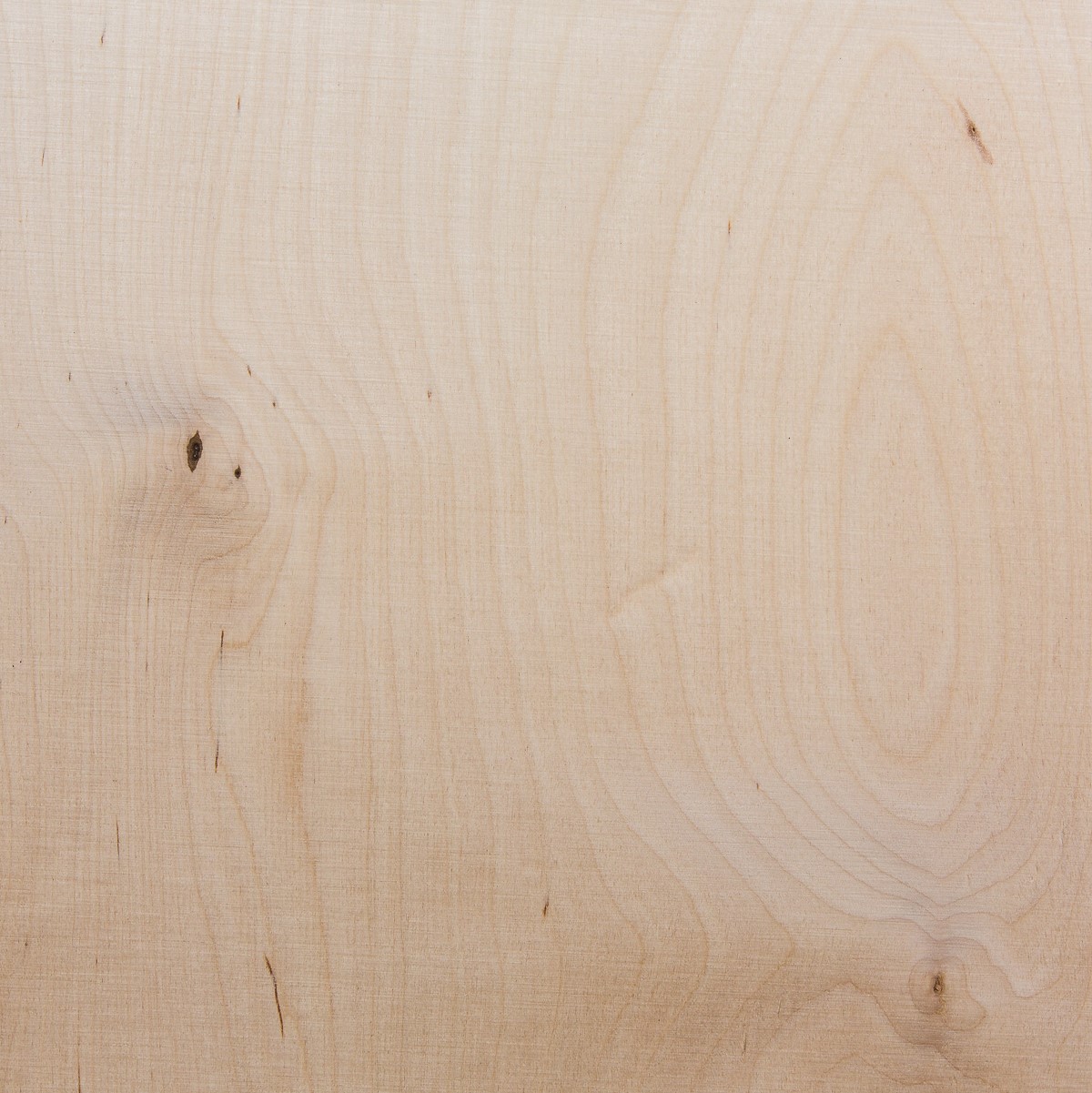 Oferte la Placaj lemn de mesteacan, 1525 x 1525 x 12 mm