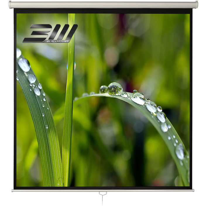 Oferte la Ecran de proiectie Manual 1/1MN300 300 x 300cm White