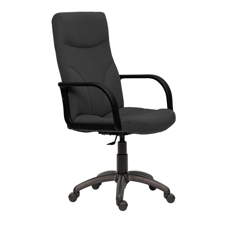 Oferte la Scaun directorial Riva gri