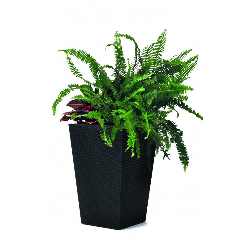 Oferte la Ghiveci pentru flori, dreptunghiular, antracit