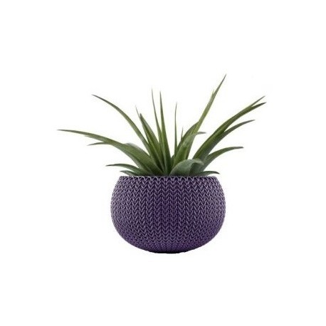 Oferte la Ghiveci pentru flori, rotund, suspendabil, mov