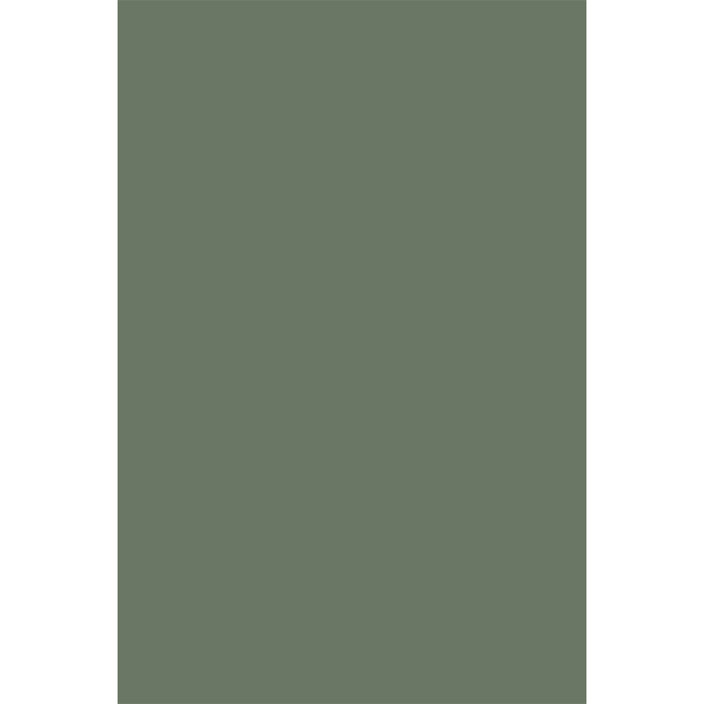 Oferte la Placa MDF laminata verde Kronospan, FLN 521, 2800 x 1220 x 18 mm