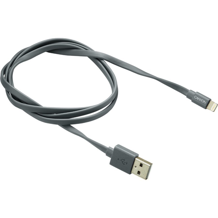 Oferte la Cablu de date CNS-MFIC2DG Lightning MFI 1m Gri
