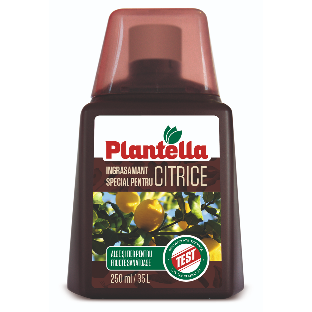 Oferte la Ingrasamant lichid Plantella, pentru citrice, 0.25 l