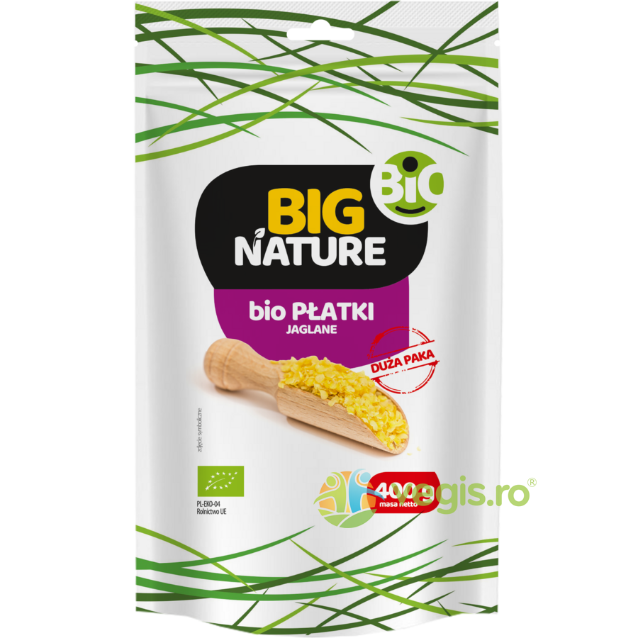 Oferte la Fulgi de Mei Ecologici/Bio 400g