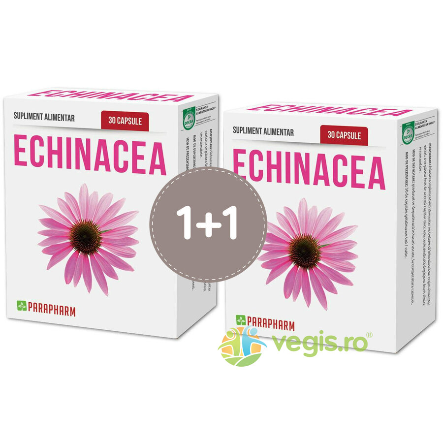 Oferte la Pachet Echinacea 30cps+30cps