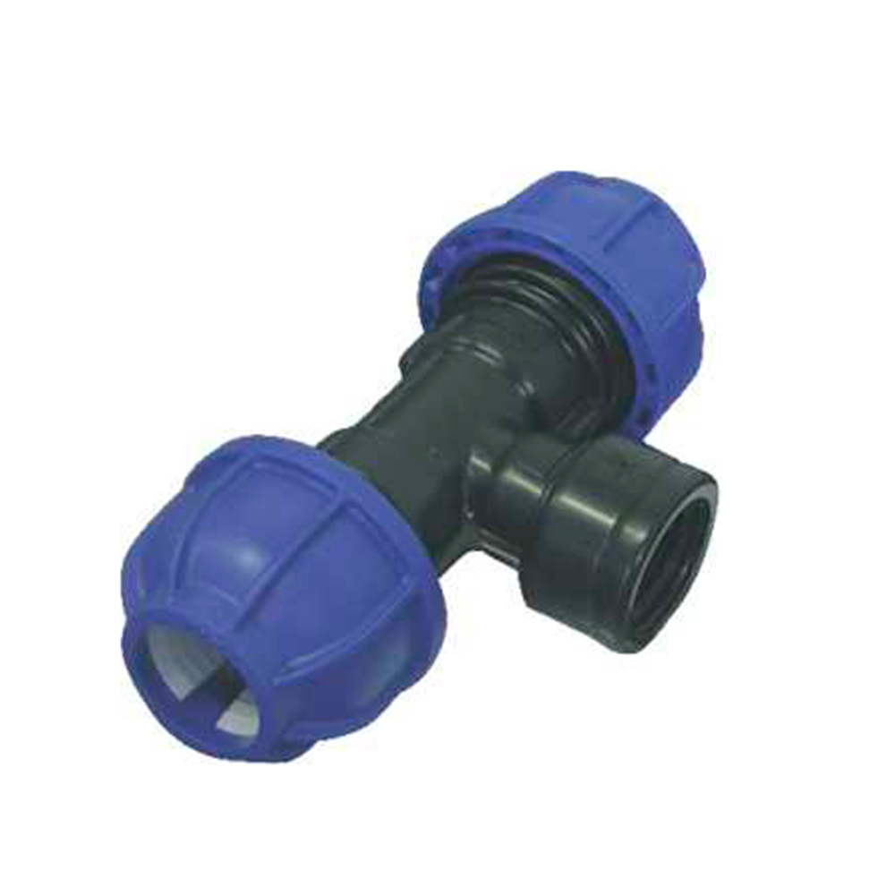 Oferte la Teu rapid PE Valrom, filet interior, 25 mm x 3/4 inch