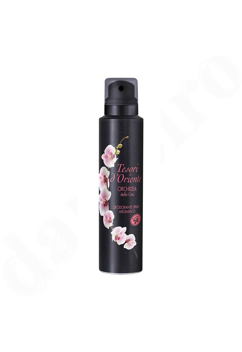 Oferte la Deodorant spray 150 ml