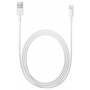 Apple Lightning to USB Cable (2 m)