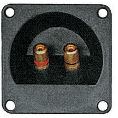 Oferte la CONECTOR BOXA 2 BANANE AURII