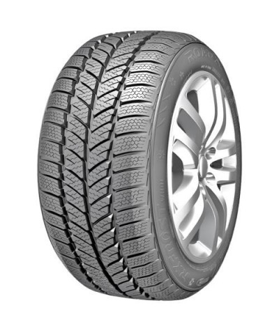 ROADX-TURISME RxFrost WH01 205/55R16 91H