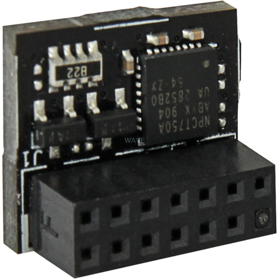 Accesoriu server TPM-SPI