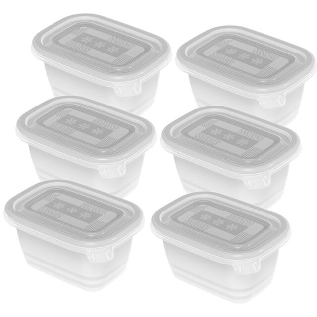 Oferte la Recipiente Congelator Freeze  6x 250ml Transparent