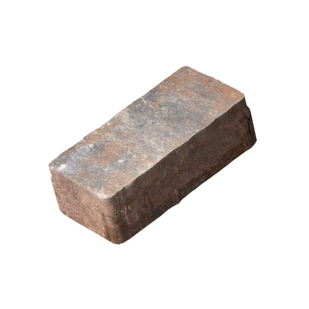 Oferte la Pavaj rezidential Elis Anima D2, dreptunghi, dolomit, 20 x 10 x 6 cm