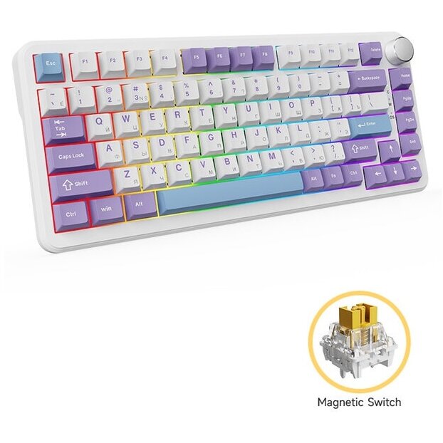 Oferte la Tastatura Mecanica AK820 Max Purple Blue RGB